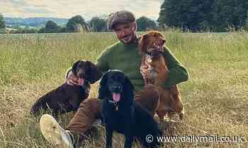 Victoria Beckham shares countryside photo of David and dogs