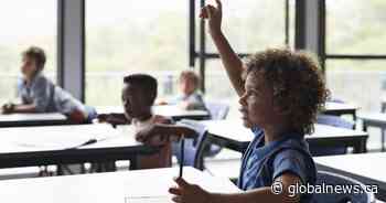 Petition calls for more Black history and anti-racism education in Saskatchewan schools