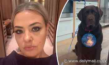 Lisa Armstrong throws a party for Labrador to celebrate his 7th birthday
