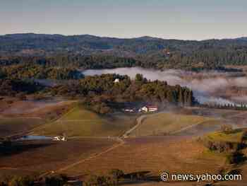 Wealthy San Francisco homebuyers are fleeing the dense city and snatching up houses in the affluent wine country as remote work powers an exodus from city life