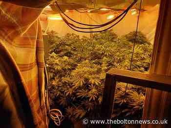 Bolton drugs bust: Man in custody as police discover cannabis farm - The Bolton News