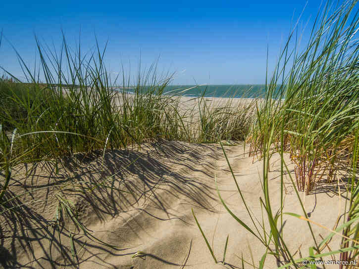 Google laat zien: Nederland viert zomervakantie thuis