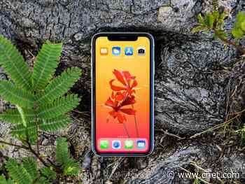iPhone X vs iPhone 11: Which phone is best for you?     - CNET