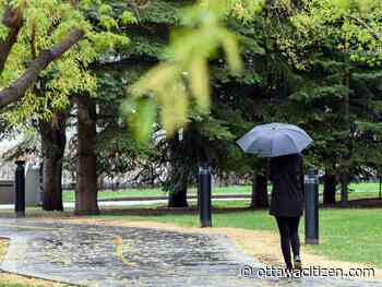Weather: Risk of thunderstorm this morning, humidex to reach 29 but lots of sun ahead