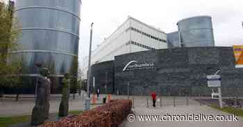 North East university bucks UK trend to rise up global rankings