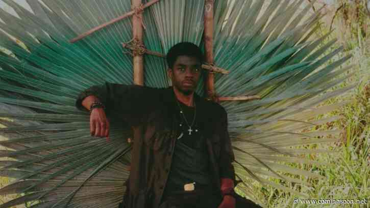 Netflix’s Da 5 Bloods Clips Feature Chadwick Boseman
