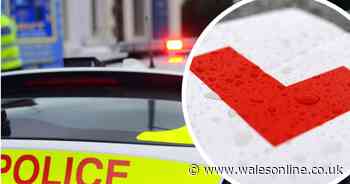 Driver drove down footpath during police chase two days after failing test