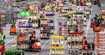 Maffiabroers op bloemenveiling Aalsmeer toch veroordeeld