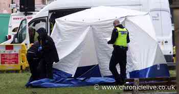 Human bones discovered during gas repair work in North Shields