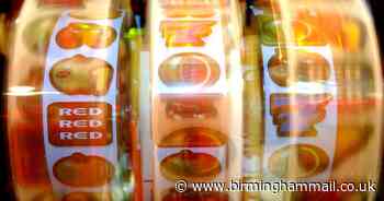 A new slot machine shop will fuel problem behaviour