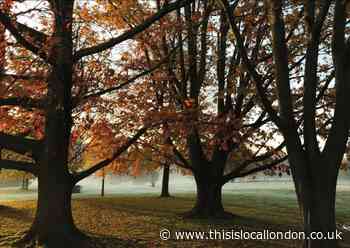 Lewisham parks and open spaces strategy 2020-2025