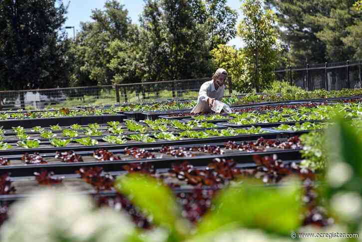 Southern California coast cools off, but valleys not so much