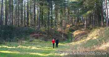 Parks are reopening across Carmarthenshire after their lockdown closure