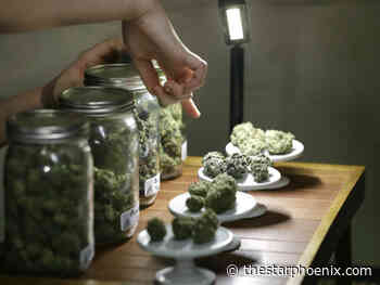 City hall recommends $4,500 fee for new cannabis businesses