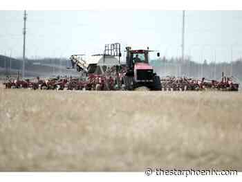 Spring seeding in Saskatchewan almost complete: crop report