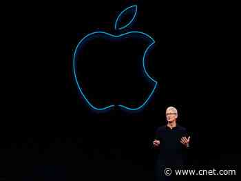 Apple CEO Tim Cook announces $100 million Racial Equity and Justice Initiative     - CNET