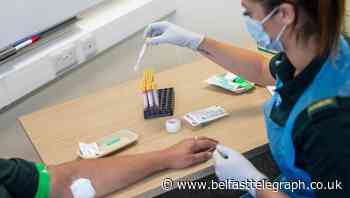 ‘Not enough immunity data’ for mass roll-out of antibody tests to public
