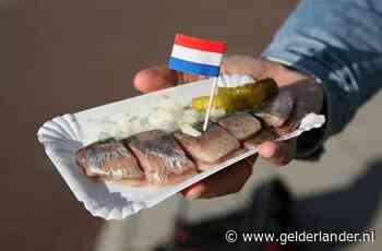 De eerste nieuwe, lekker vette haring gaat naar de helden van de zorg