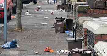 Street left looking like a ‘slum’ with seagulls ripping rubbish out of bags