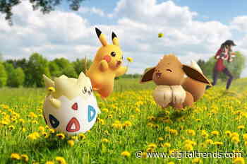 How to play with your Buddy in Pokémon Go