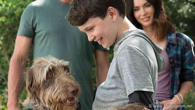 Think Like a Dog Review