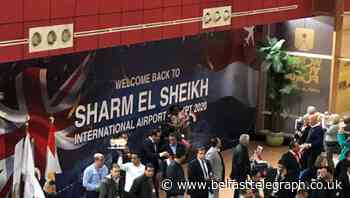 Egypt to reopen tourist destinations less hard-hit by coronavirus