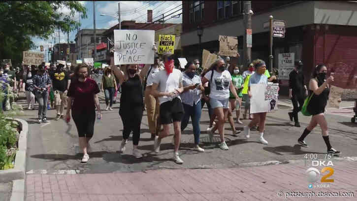 Marches, Rallies Held In Bellevue, Dormont And Fox Chapel On 13th Straight Day Of Protests