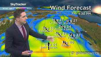 Sunny and warm: June 11 Saskatchewan weather outlook