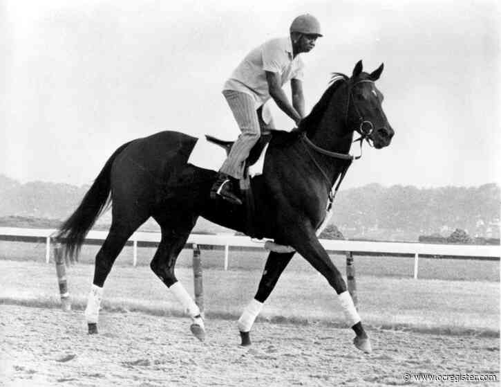 Wilson: When will fans be allowed back at horse racing venues?