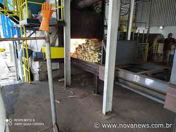 Polícia Civil de Nova Andradina realiza a incineração de quase seis toneladas e meia de drogas - Nova News - Nova News