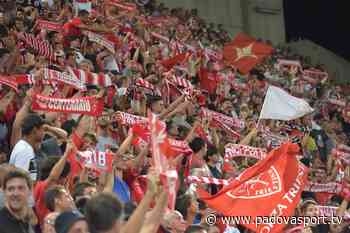 Play-off, Modena e Piacenza fuori dai giochi: FeralpiSalò e Triestina avanti a tavolino - Padova Sport