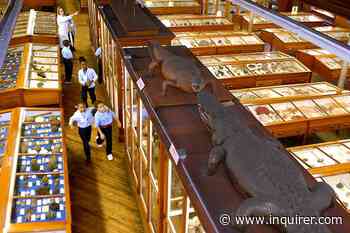 Loss of Philadelphia Cultural Fund would hit arts organizations — and neighborhoods — hard - The Philadelphia Inquirer