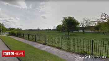 Woman arrested over Hob Moor attack on dog and owner