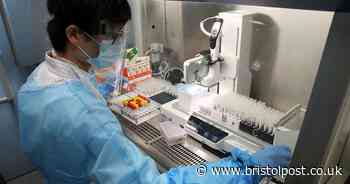 Coronavirus updates: Bristol cases slow as UK prepares for lockdown easing