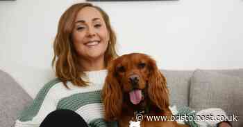 Lockdown dog heroes: Winner Bruno 'completely changed' owner's life