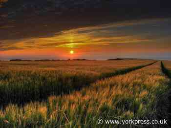 PHOTO OF THE DAY: Summer sunset