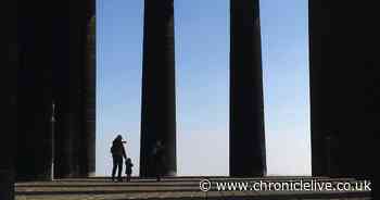 Sunderland Tories launch petition to 'protect' city's statues and monuments