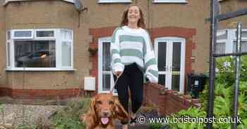 Lockdown dog heroes: Vote for our Bristol winner in the national competition