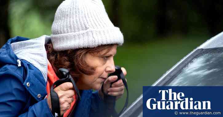 TV tonight: a formidable cast tackle secret families in The Other One