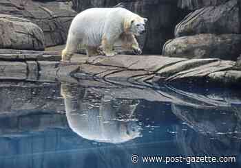 Pet Tales: Tips for a special experience with the zoo animals