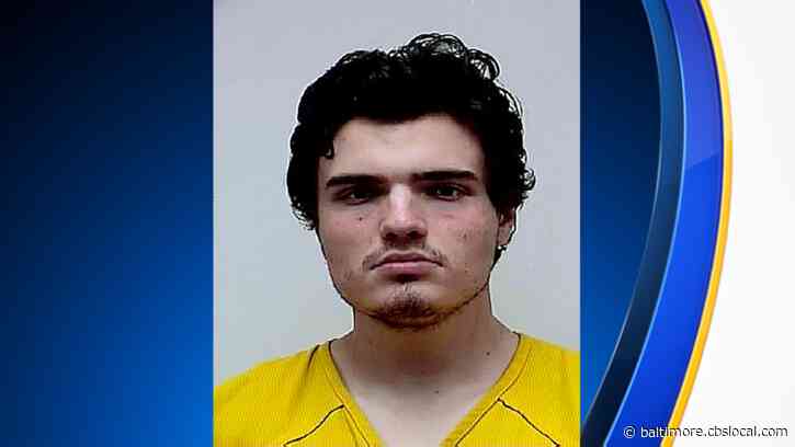 UConn Student, Fugitive Peter Manfredonia In Court On Murder Charge, Police Say