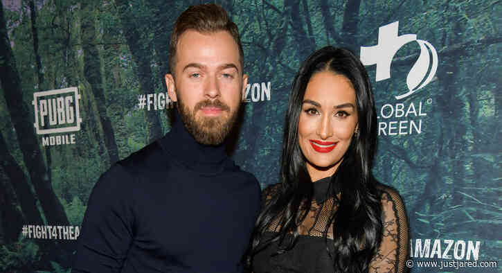 Pregnant Nikki Bella Reveals If She's Expecting a Boy or Girl