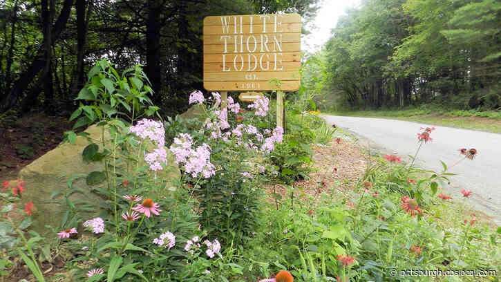 White Thorn Lodge Family Nudist Park Announces Closure For 2020 Season Due To Coronavirus
