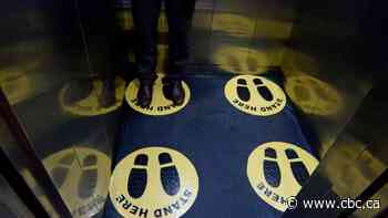 Coronavirus: What's happening around the world on Friday