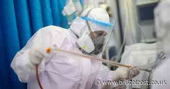 Keeping R number below one 'will cause public health catastrophe'