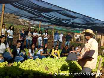 Da horta para cozinha: eletiva de arte, em escola de Presidente Venceslau, incentiva alunos a plantarem hortaliças em casa - Secretaria da Educação do Estado de São Paulo