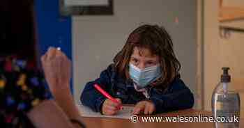 Education minister writes to teachers and staff to ease fears on reopening