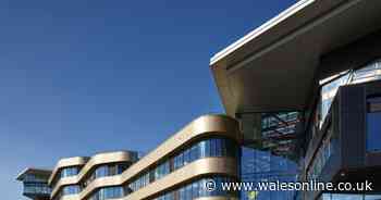 FE colleges in Wales open on Monday - this is what's happening