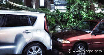 A vicious storm left thousands without power in Toronto last night - blogTO