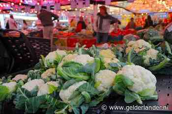 Broccoli en bloemkool duur: ‘Boven de drie euro laat ik 'm liggen’